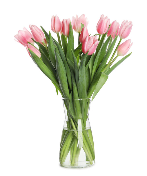Beautiful pink spring tulips in vase isolated on white - 写真・画像