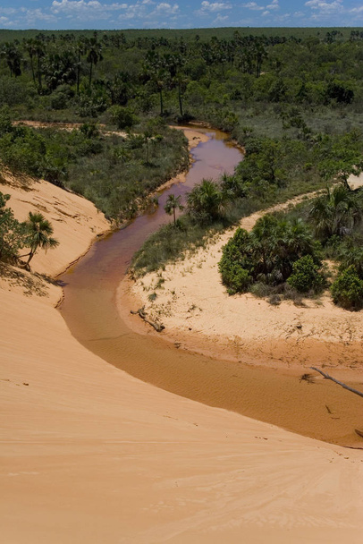 Brazilian Jalapo desert at Tocantins State - Photo, Image