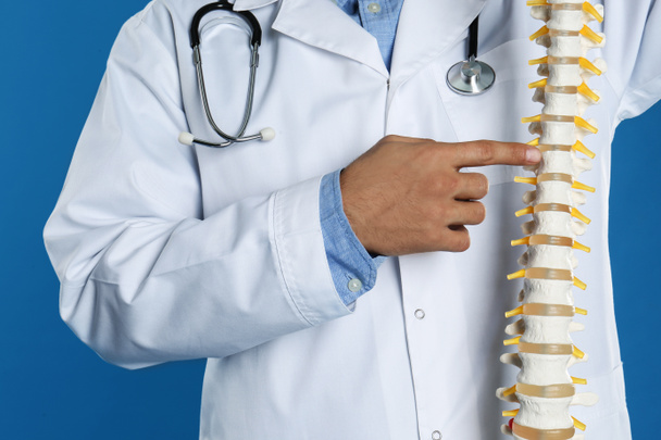 Male orthopedist with human spine model against blue background, closeup - Foto, afbeelding