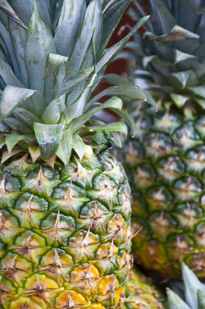 fresh pineapple, fruit plant - Fotoğraf, Görsel