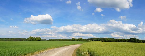 sky and landscape with dirt road panorama\r\n - Foto, immagini