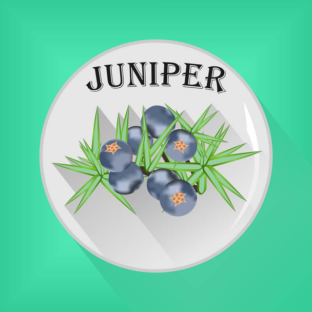 Juniper seasoning sticker flat icon vector image - Vektör, Görsel