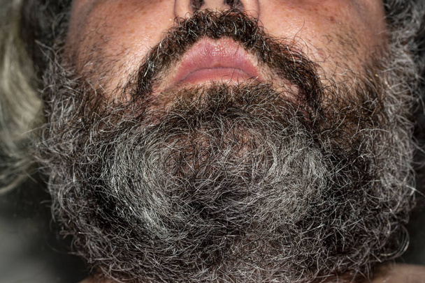 short gray beard of an elderly man - Foto, Imagem