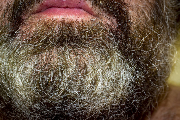 barbe grise courte d'un homme âgé
 - Photo, image