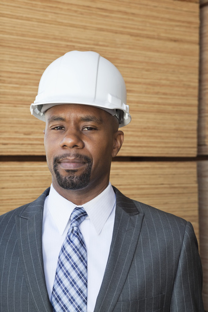 African American male engineer - Photo, Image