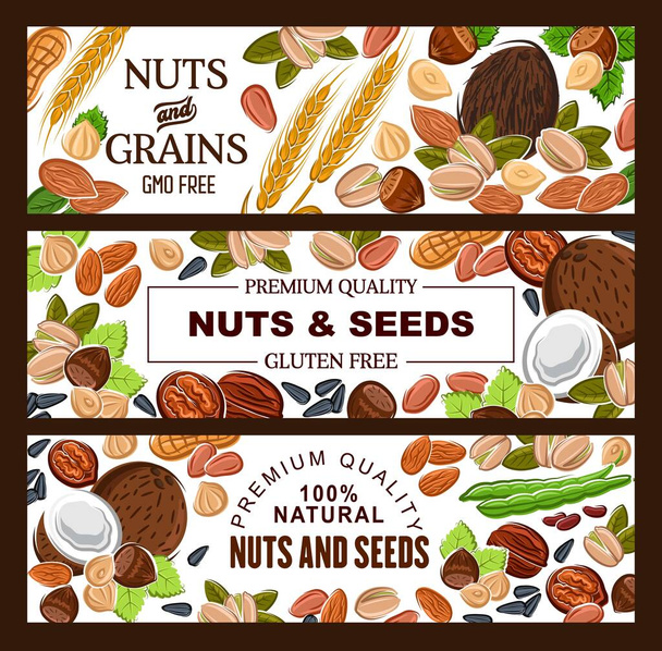 Sementes naturais isentas de OGM, nozes e grãos de cereais
 - Vetor, Imagem