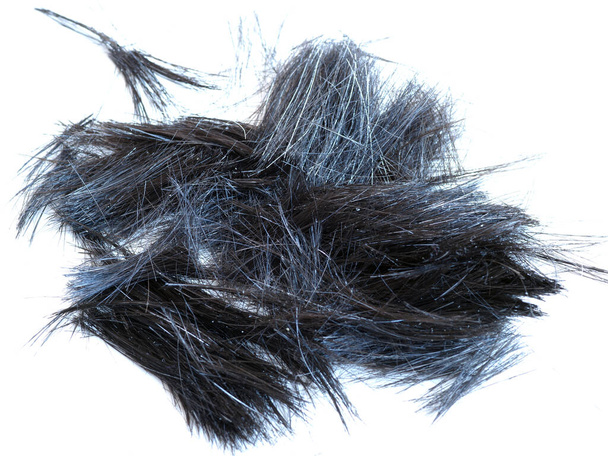 dark hair cut with an electric clipper - Fotoğraf, Görsel