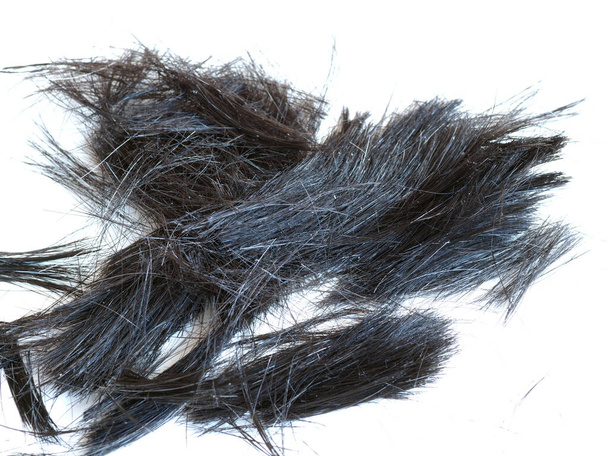 dark hair cut with an electric clipper - Photo, Image