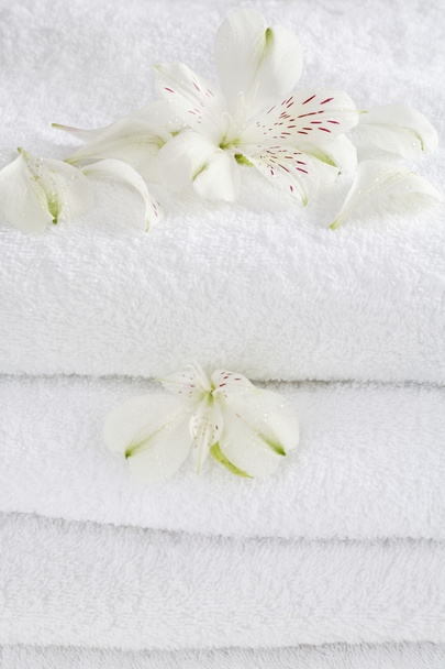 Serviettes blanches
 - Photo, image