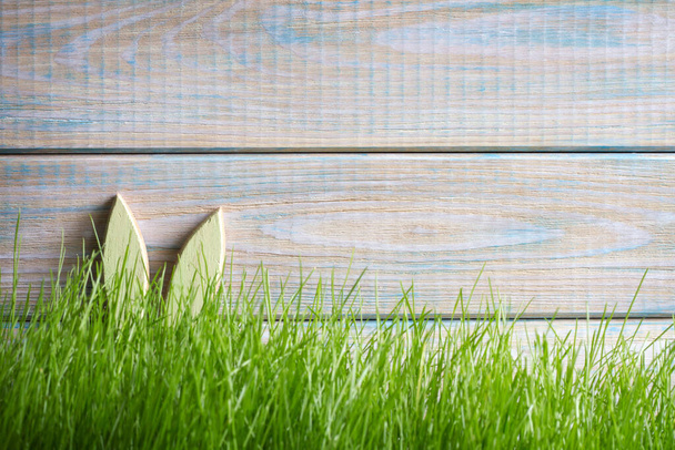Voorjaar Pasen achtergrond met konijn oren in het groene gras op oude retro planken - Foto, afbeelding