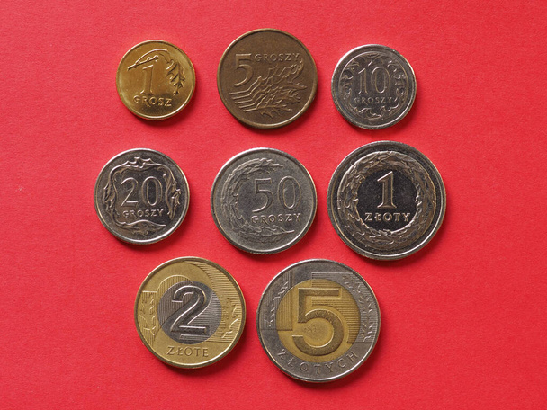 Lengyel zloty érmék, Lengyelország - Fotó, kép