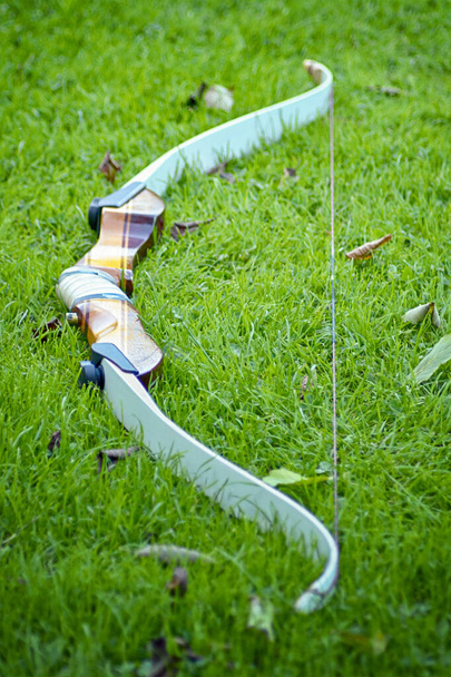 秋に緑の草の中でスポーツ弓 - 写真・画像