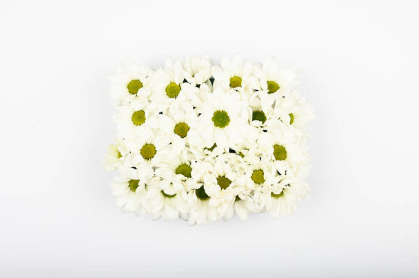 Pride of natural flowers on a white background. Naturally Cosmetics Concept. The concept of the usefulness of Flowers. view from above. A place to write. Spa and living nature. - Photo, Image