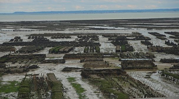 Oyster farm at Atlantic ocean shore at Cancale, France - Fotoğraf, Görsel