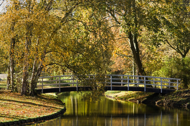 Pond in park in autumn with white bridge and colorful trees - Fotoğraf, Görsel