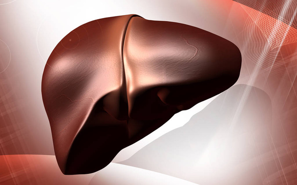 Digital illustration of  liver  in  colour background 	 - Zdjęcie, obraz