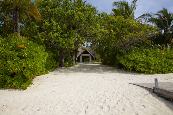 vista de uma casa de férias através de palmeiras, Maldivas
 - Foto, Imagem