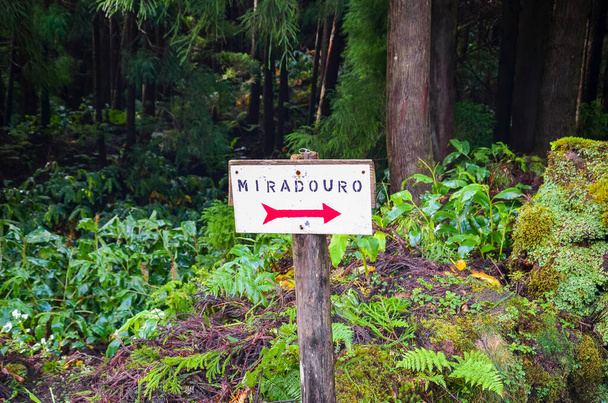 Turistimerkki punaisella nuolella valkoisella kentällä antaa suuntaa näköalapaikalle. KÄÄNNÖS: Miradouro - näkökulma portugaliksi. Tietomerkki orientaatioon. Hämärtynyt metsä taustalla
 - Valokuva, kuva