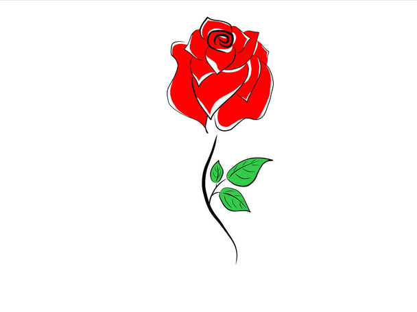 rosa roja sobre un fondo blanco - Foto, imagen