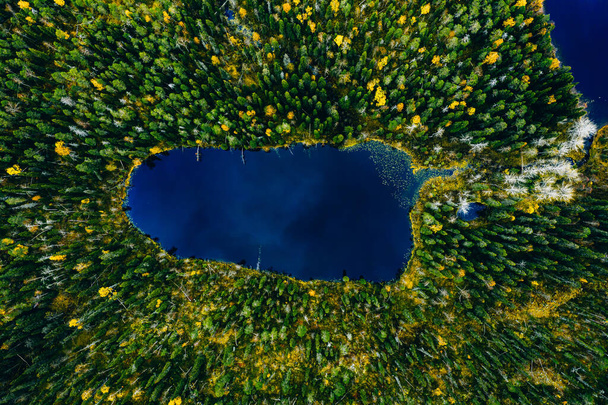 Αεροφωτογραφία της μικρής γαλάζιας λίμνης σε καταπράσινο πευκοδάσος στην αγροτική Φινλανδία. - Φωτογραφία, εικόνα