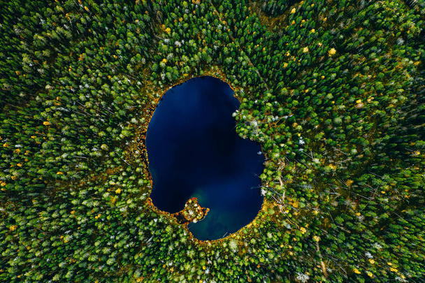 Aerial view of small blue lake in green pine tree forest in rural Finland. - Фото, зображення