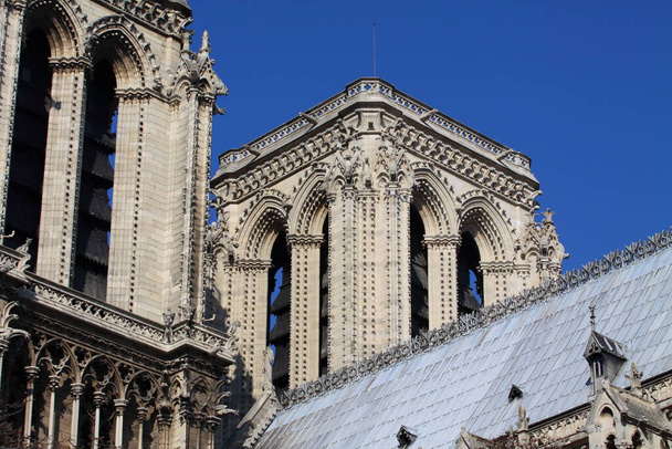 Notre Dame Cathedral - Paris - Zdjęcie, obraz