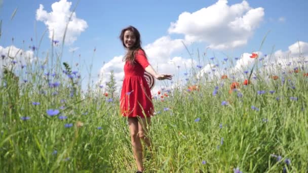 Onnellinen nuori nainen punaisessa mekossa ja iso hattu Nauti luonnosta. Hidasliikkeinen HD-video Kauneus Tyttö Ulkona kävelee unikkopelto. Vapauden käsite. Kauneus tyttö taivaalla ja auringossa
 - Materiaali, video