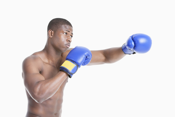 Young boxer - Фото, зображення
