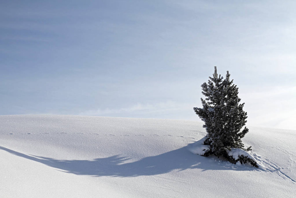 picturesque view of snow-covered winter landscape - Foto, immagini