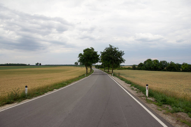 road in the lowland with tree avenue in cloudy sky in early summer in the daytime - Valokuva, kuva