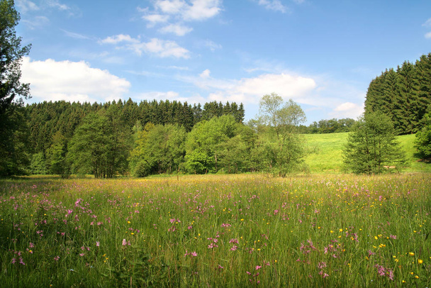 view of beautiful  natural landscape  - Fotografie, Obrázek