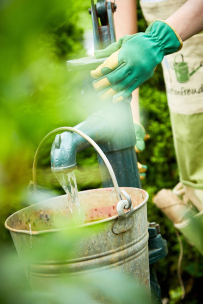 Gardener filling an old rustic metal bucket with water from a vintage hand pump outdoors in the garden viewed through greenery and leaves - Photo, image