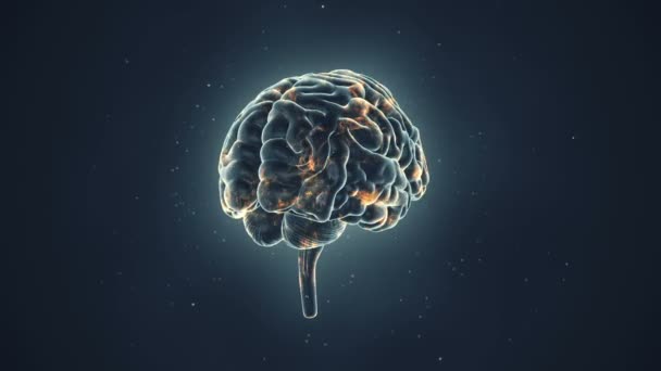 Анімація обертання людського мозку з літаючими даними на фоні. Анімація безшовної петлі
 - Кадри, відео