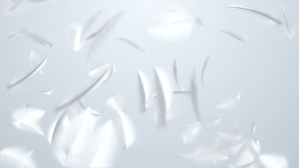 Imágenes de animación 3d de la caída de la pluma. Animación de bucle sin costura
. - Imágenes, Vídeo