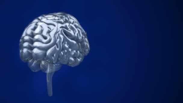 Animation der Rotation des menschlichen Gehirns mit umherfliegenden Daten im Hintergrund. Animation einer nahtlosen Schleife - Filmmaterial, Video
