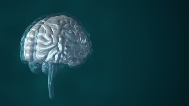 Animation de la rotation du cerveau humain avec des données volantes autour sur le fond. Animation de boucle transparente
 - Séquence, vidéo