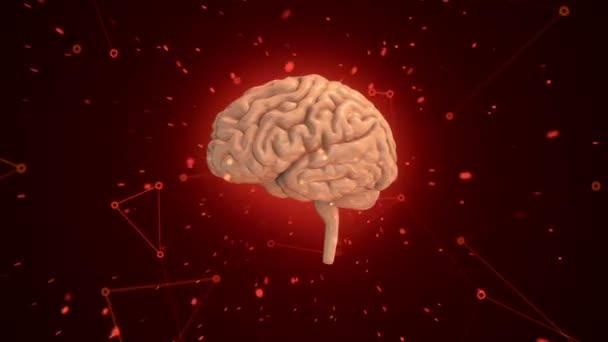 Animation of rotation human brain with flying data around on background. Animation of seamless loop - Footage, Video