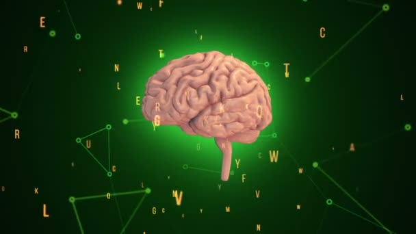 背景に飛行データを持つ回転人間の脳のアニメーション。シームレスループのアニメーション - 映像、動画