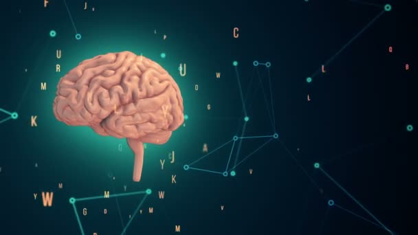 Анімація обертання людського мозку з літаючими даними на фоні. Анімація безшовної петлі
 - Кадри, відео