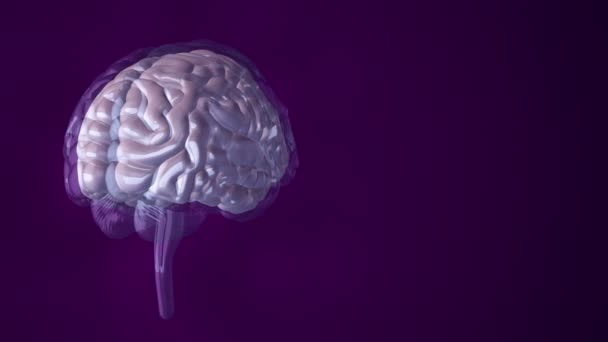 Animation der Rotation des menschlichen Gehirns mit umherfliegenden Daten im Hintergrund. Animation einer nahtlosen Schleife - Filmmaterial, Video