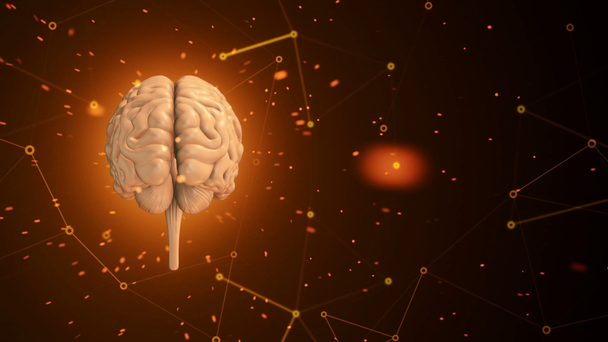 Animáció a forgás emberi agy repülő adatok körül a háttérben. Zökkenőmentes hurkok animációja - Felvétel, videó