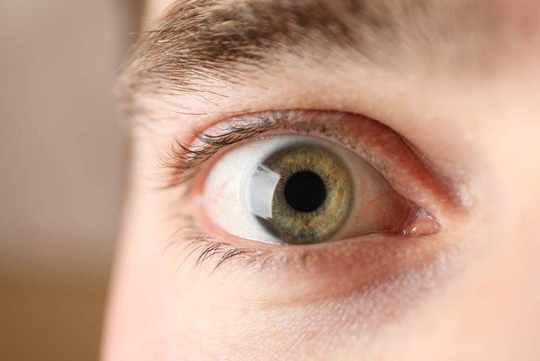 Schöne grüne Augen, Nahaufnahme. Makro. Gesundheitswesen und Medizin - Foto, Bild