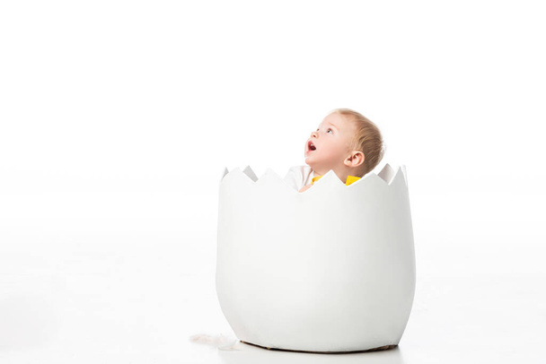 かわいい子供は白い背景に卵殻の中を見下ろします ロイヤリティフリー写真 画像素材