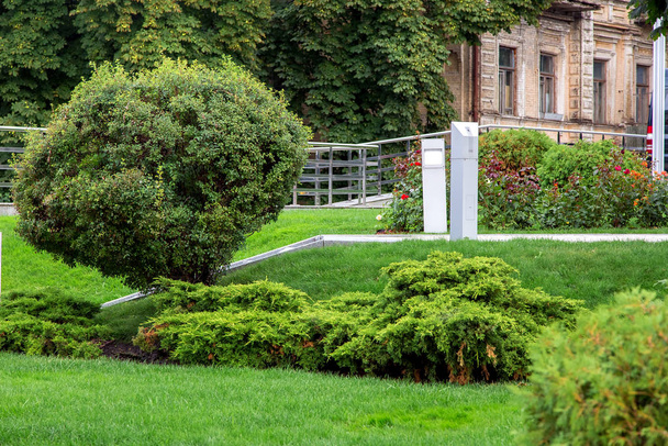 zeleň v městském parku se zelenou loukou na trávníku a keři, nikdo. - Fotografie, Obrázek