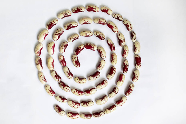 Beans laid on a spiral on a light background - Foto, Imagen