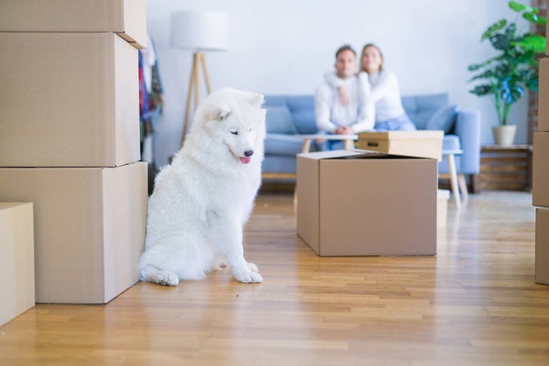 Young beautiful couple with dog sitting on the sofa at new home around cardboard boxes - Foto, imagen
