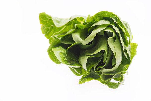 Fresh green salad isolated on a white background.Empty space for text. - Zdjęcie, obraz