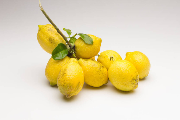 Sitruunoiden, appelsiinien ja muiden vihannesten asetelma
 - Valokuva, kuva