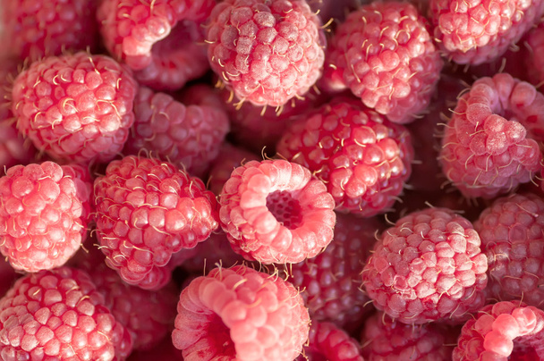 raspberries background - Photo, Image