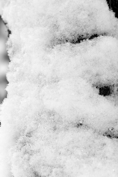 υπόβαθρο του χιονιού στον κορμό του το μονοχρωματικό δέντρο - Φωτογραφία, εικόνα